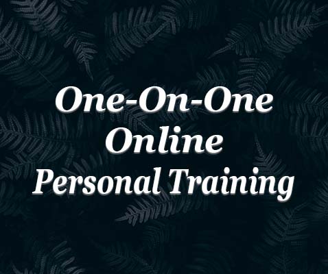 one on one personal training Online Personal Training